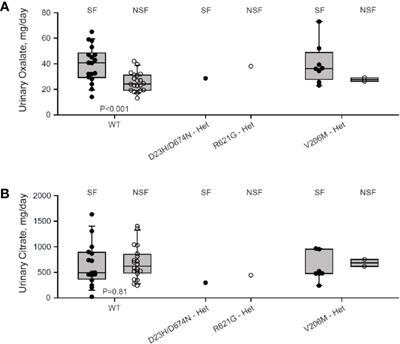 Novel Human Polymorphisms Define a Key Role for the SLC26A6-STAS Domain in Protection From Ca2+-Oxalate Lithogenesis